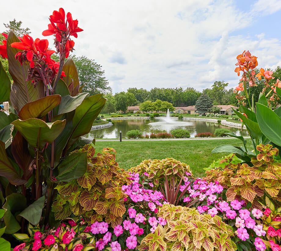 Vibrant garden with red and pink flowers, a pond, and units in the background on a sunny day.