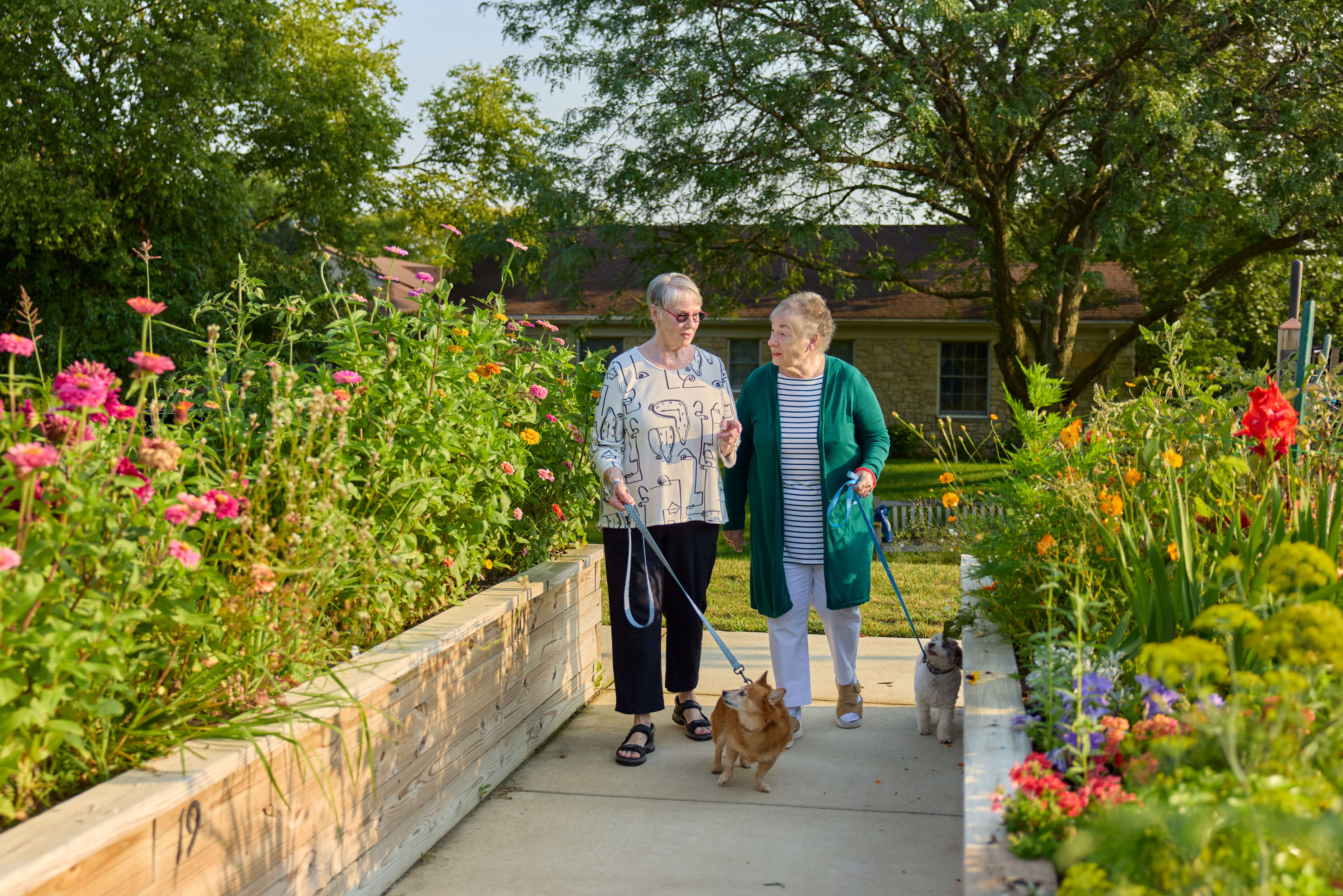 Two elderly women walking dogs through a vibrant garden at a senior living community.