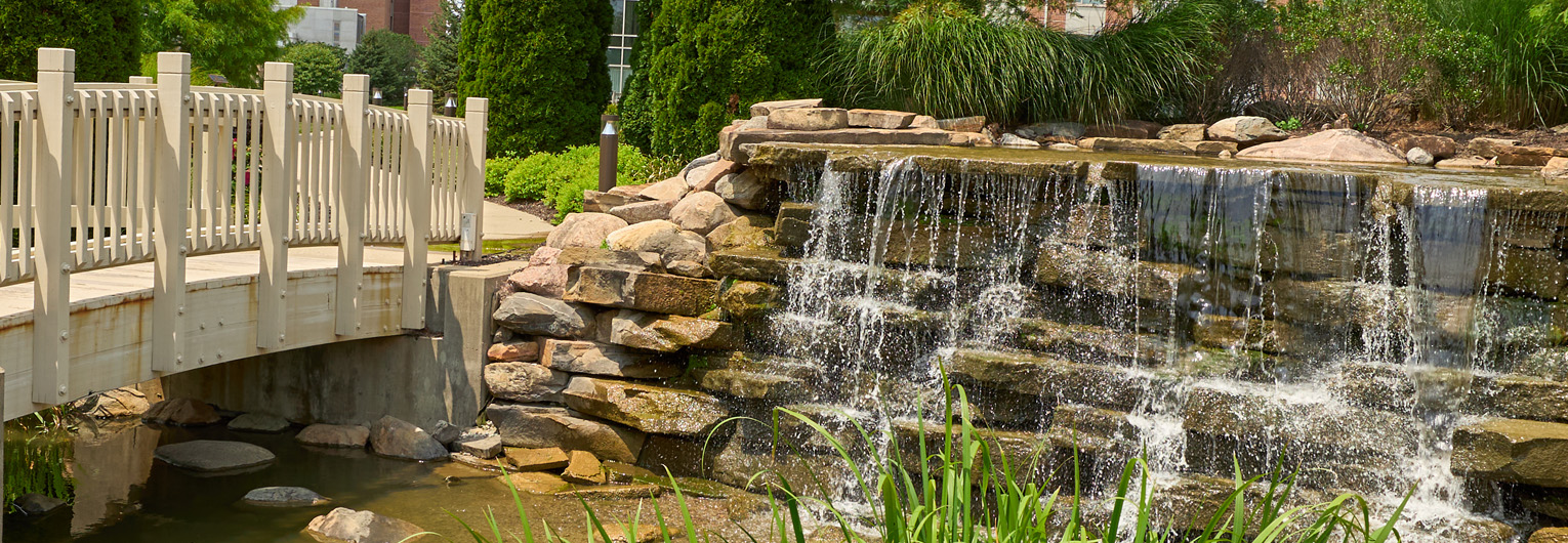 garden pathway over a bridge next to a waterfall