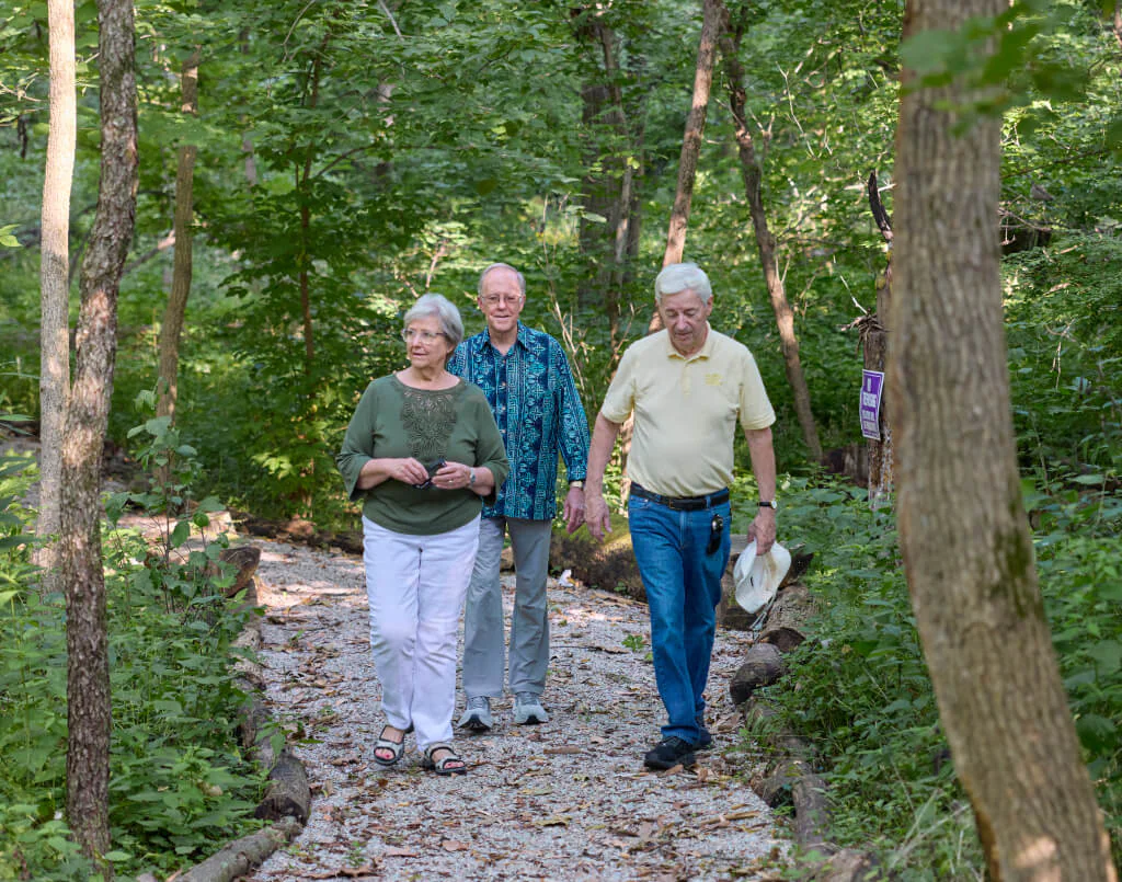 Group of seniors on walking path